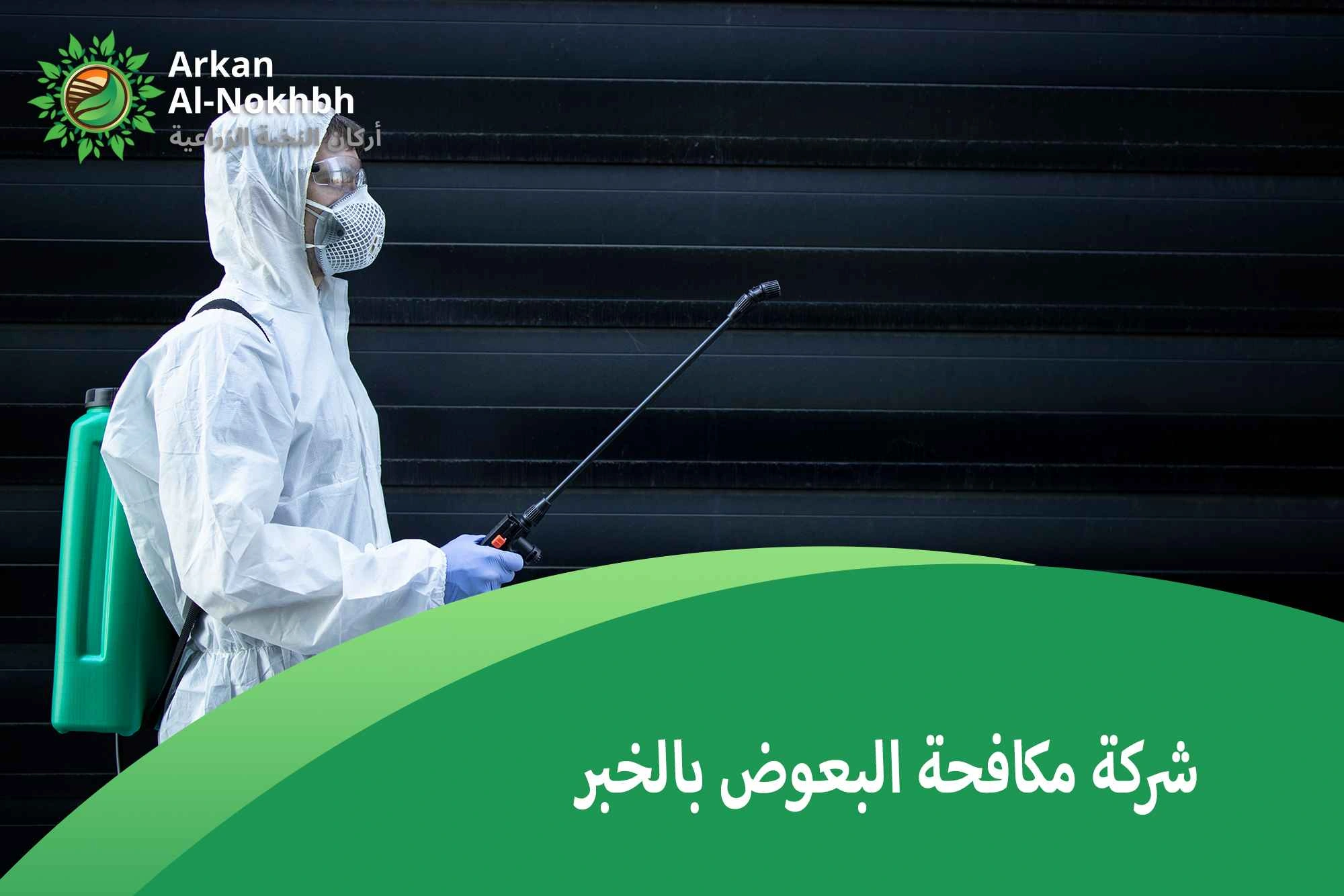 شركة مكافحة البعوض بالخبر