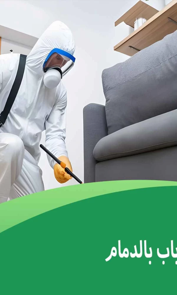 شركة مكافحة الذباب بالدمام