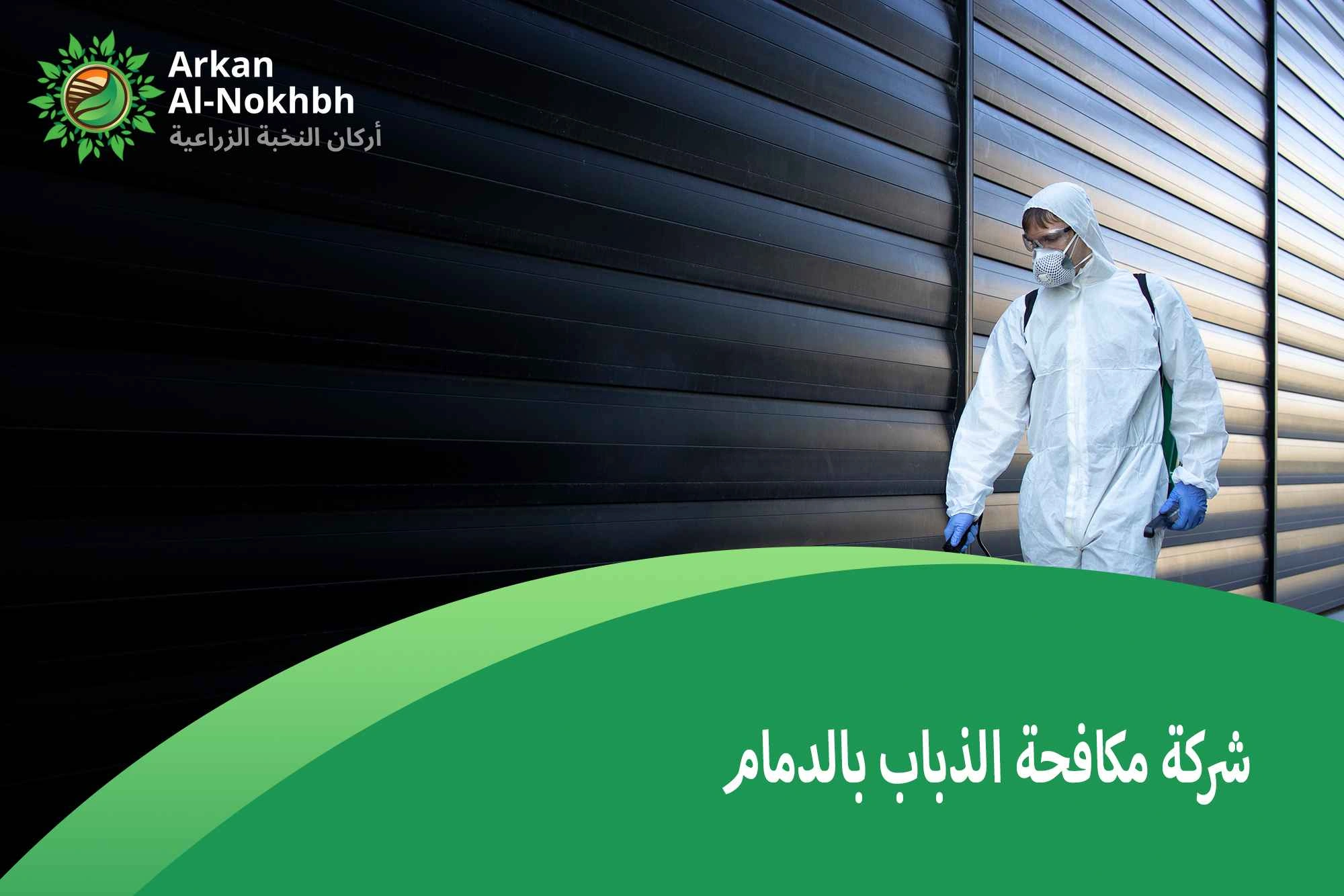 شركة مكافحة الذباب بالدمام
