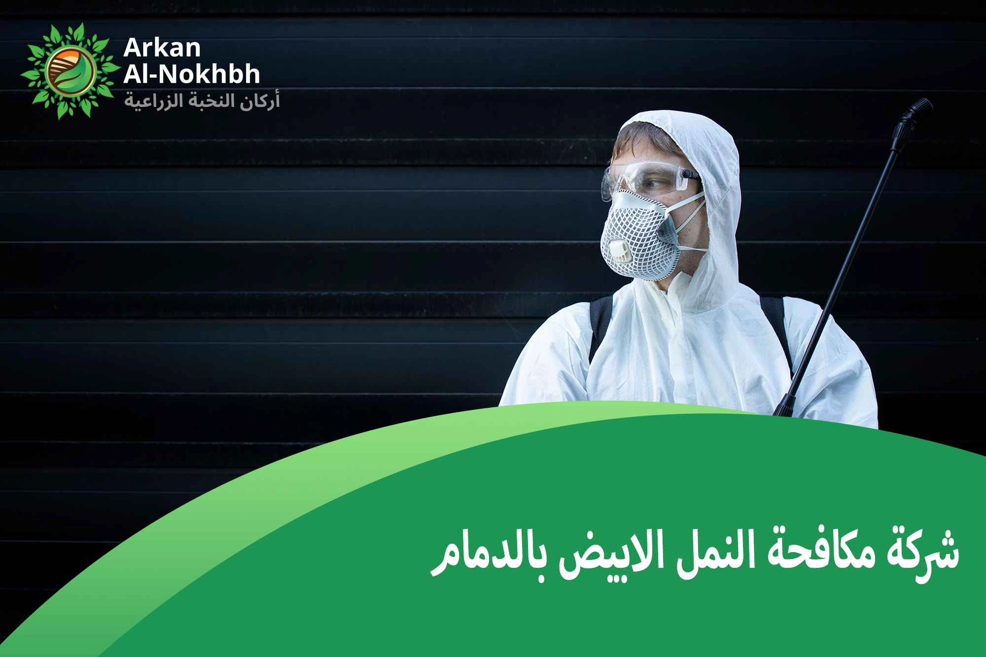 شركة مكافحة النمل الابيض بالدمام