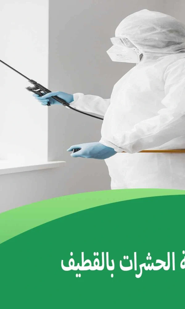 اسعار شركات مكافحة الحشرات بالقطيف