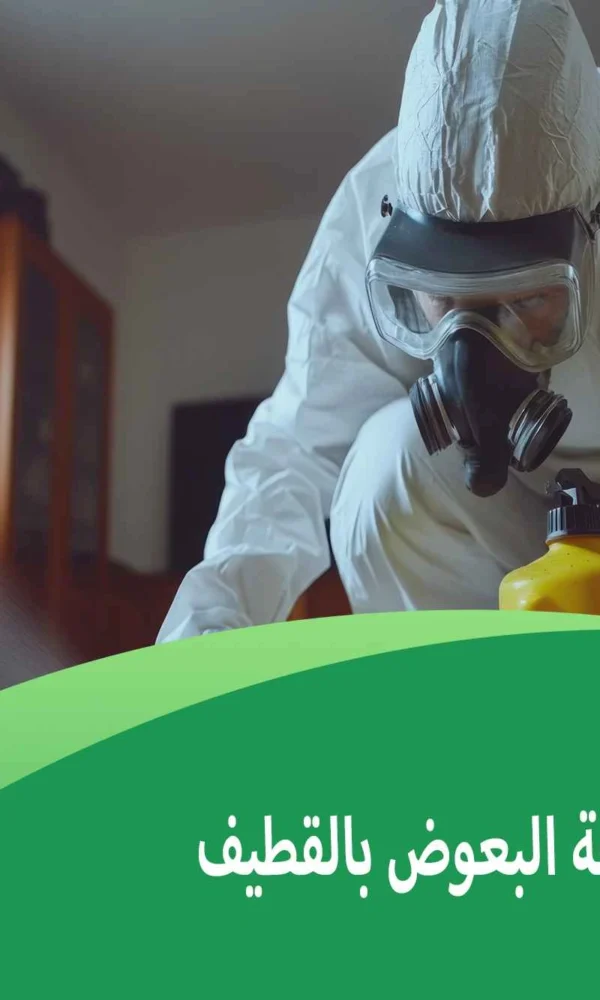 شركة مكافحة البعوض بالقطيف