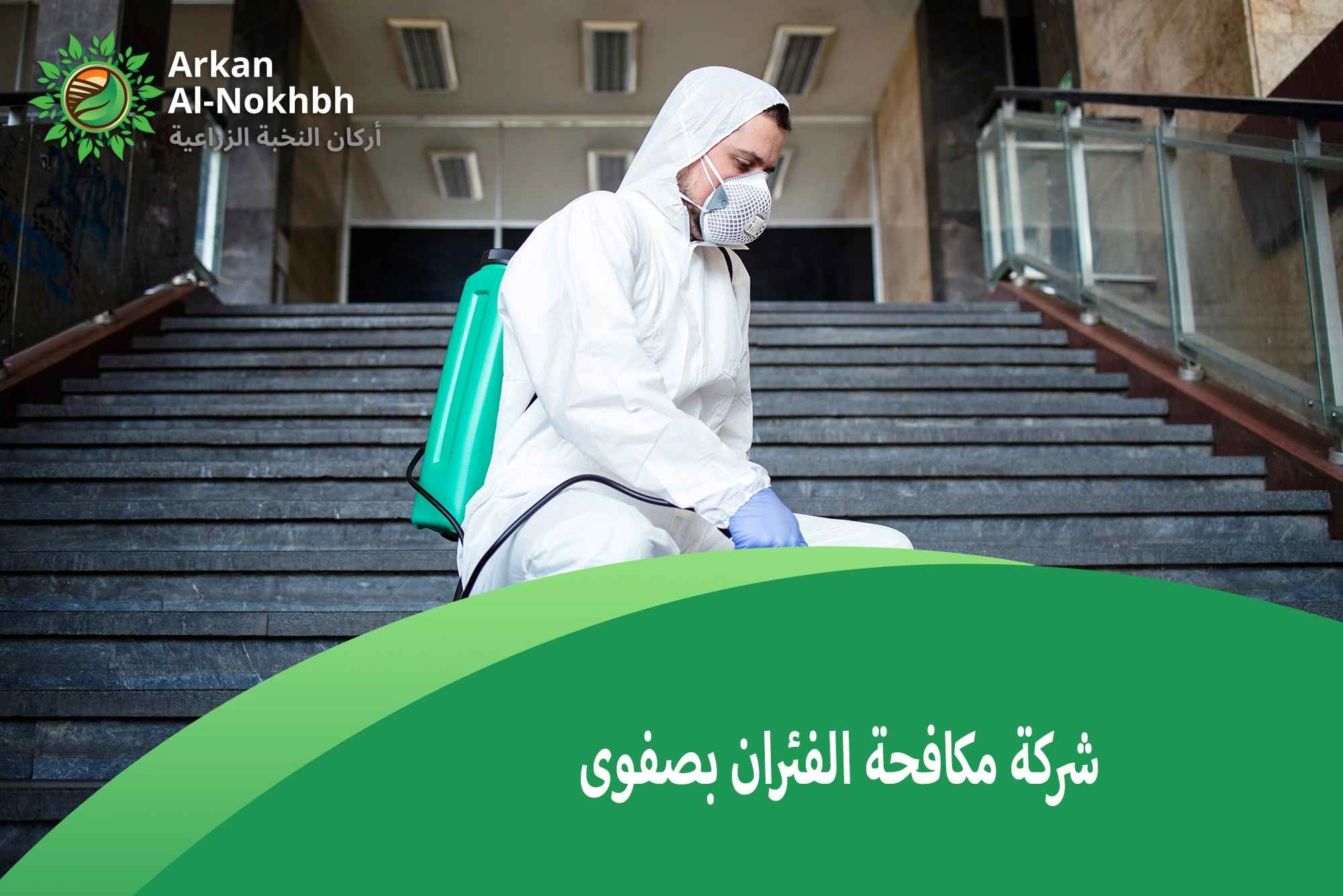 شركة مكافحة الفئران بصفوى