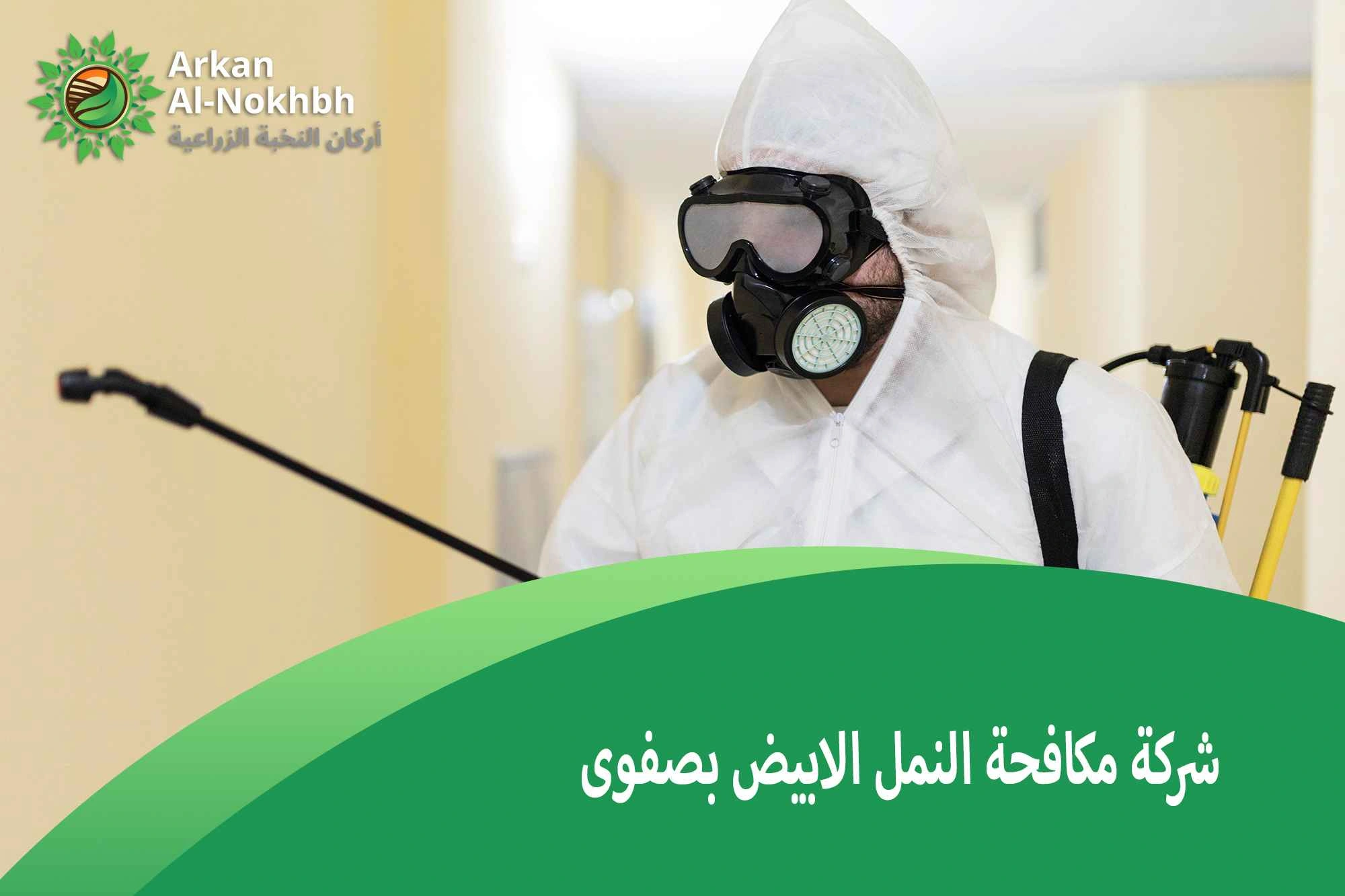شركة مكافحة النمل الابيض بصفوى