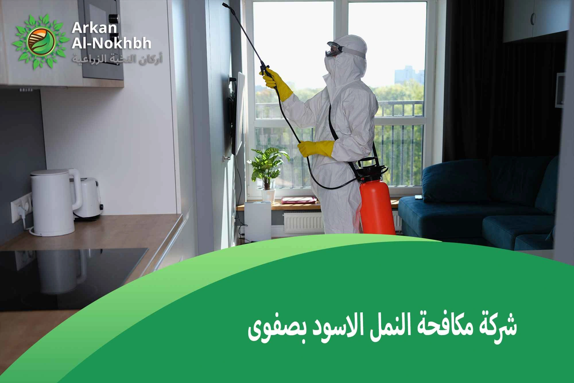 شركة مكافحة النمل الاسود بصفوى