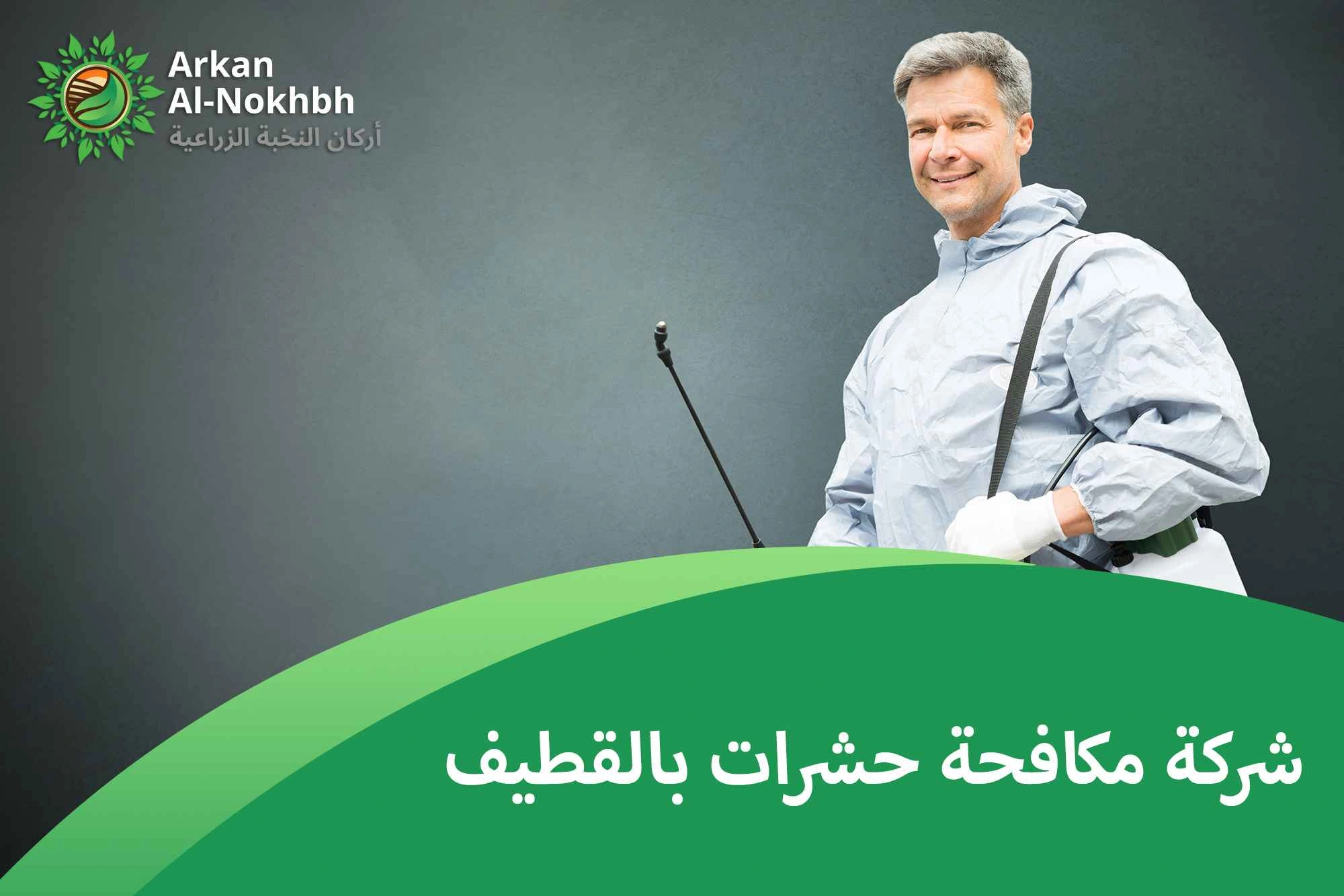 شركة مكافحة حشرات بالقطيف