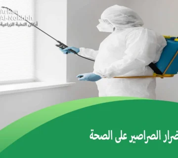 أضرار الصراصير على الصحة