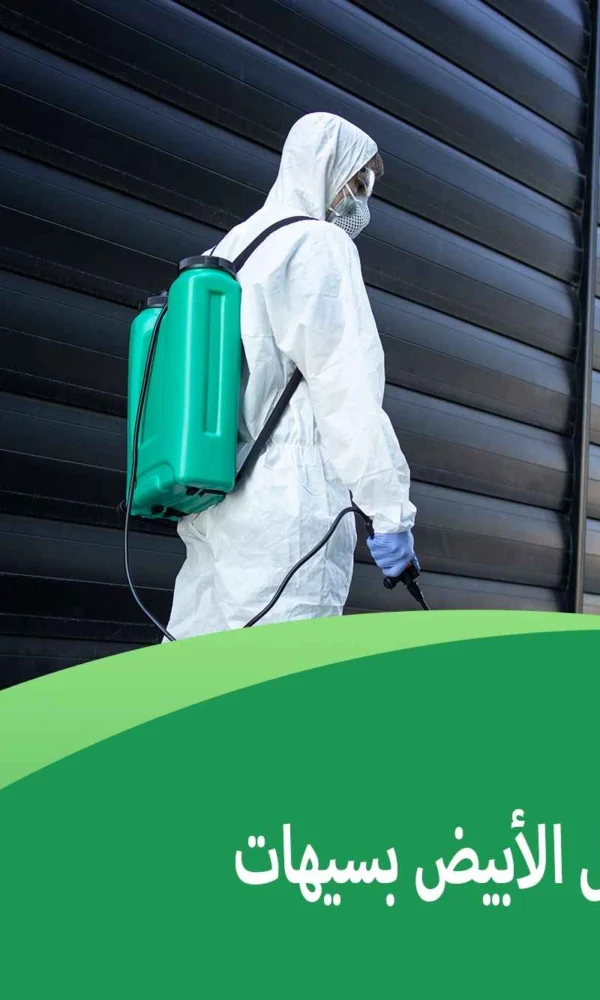 أفضل مبيدات النمل الأبيض بسيهات