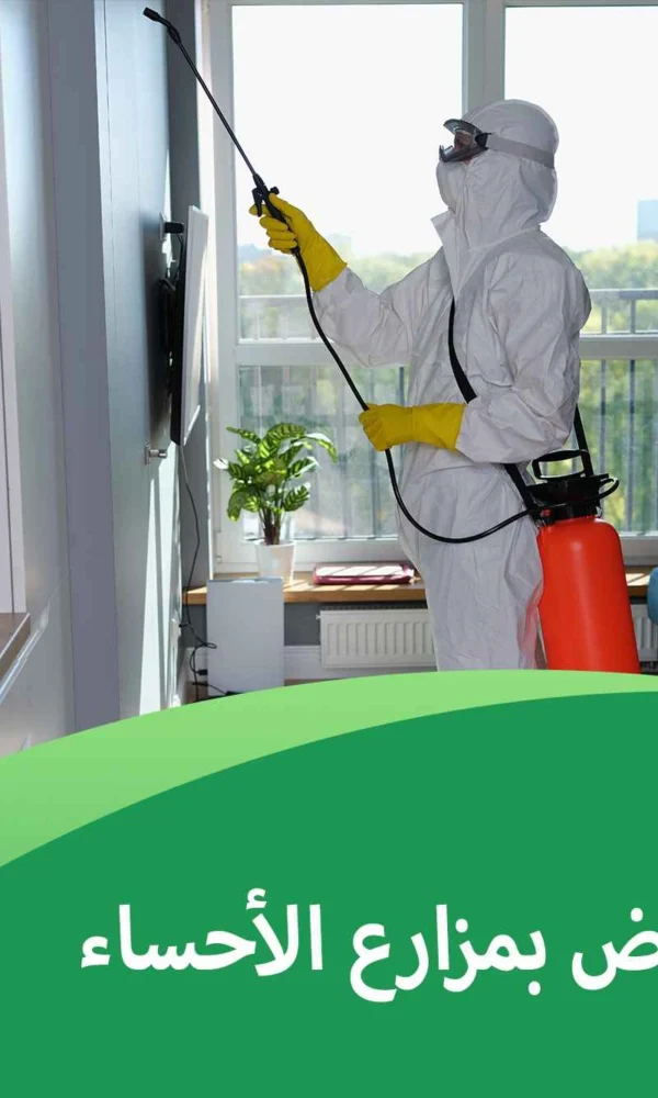 مكافحة البعوض بمزارع الأحساء